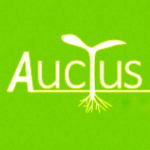 Auctus