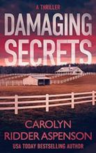 Damaging Secrets  book cover