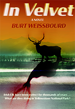 IN VELVET book cover