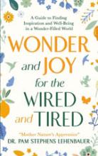 Wonder and Joy For the Wired and Tired book cover
