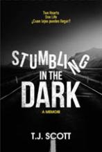 Stumbling in The Dark Looking For The Light Switch book cover