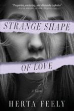 Strange Shape of Love book cover