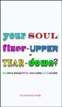 Your Soul: Fixer-Upper or Tear-Down? The Bible Blueprint for Renovation and Rebuild! book cover