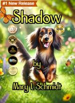 Shadow book cover